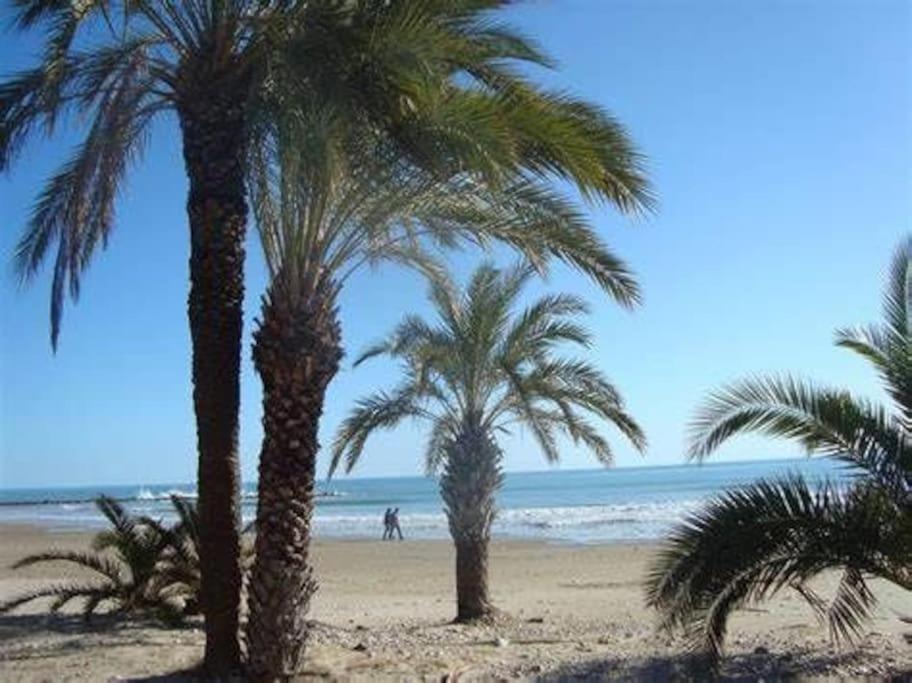 Piso Centro Torreblanca 아파트 외부 사진
