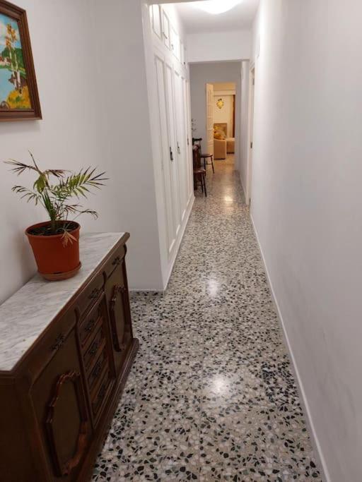 Piso Centro Torreblanca 아파트 외부 사진
